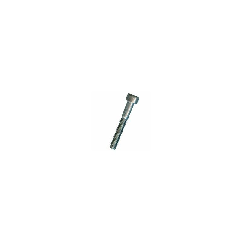 VITE BRUGOLA TC 3x 10 INOX A2-304 DIN912-UNI5931